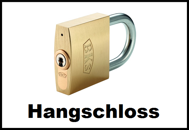 Janus Hangschloss